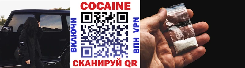 купить закладку  Новочебоксарск  COCAIN Fish Scale 