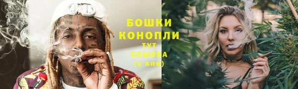 твердый Бронницы